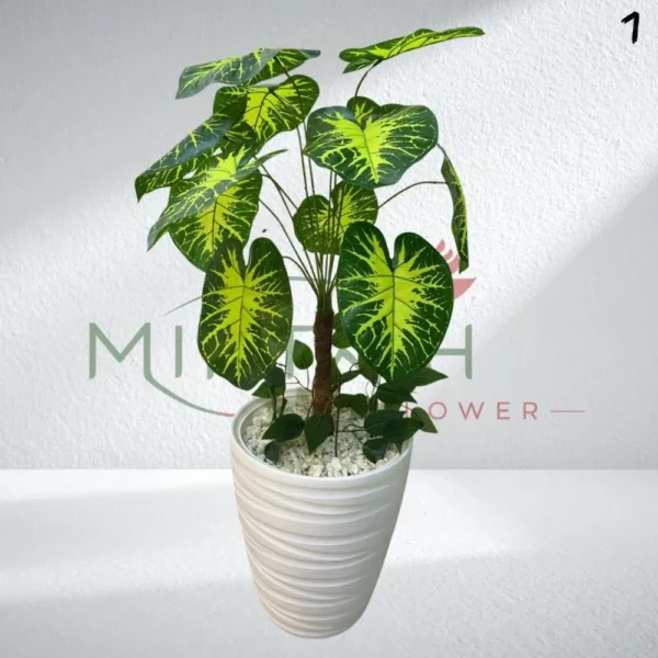 Alocasia artificielle - 80cm