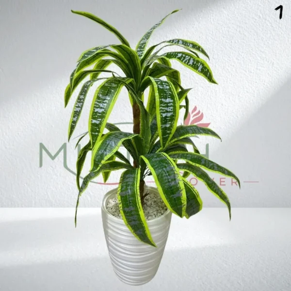 Dracaena artificiel - 90cm