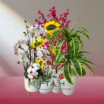 Arbres et Plantes